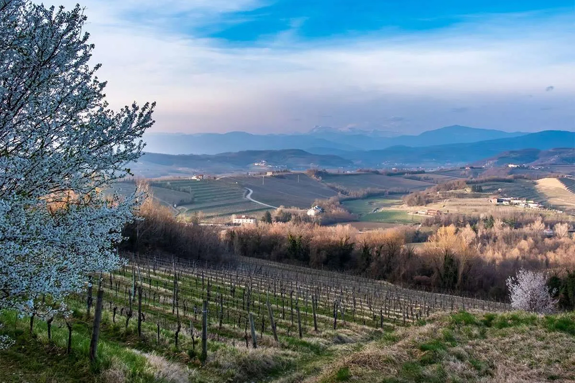 Photograph of the panorama surrounding Villa Ronco Albina